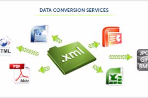 Portfolio for Data Capture and Data Extraction Service